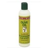 ORGANIC ROOT - OLIVE OIL HAIR LOTION